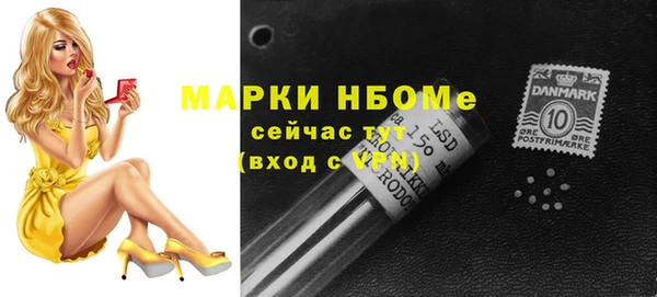 шишки Белокуриха