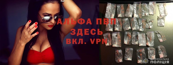 шишки Белокуриха