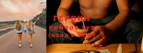 шишки Белокуриха