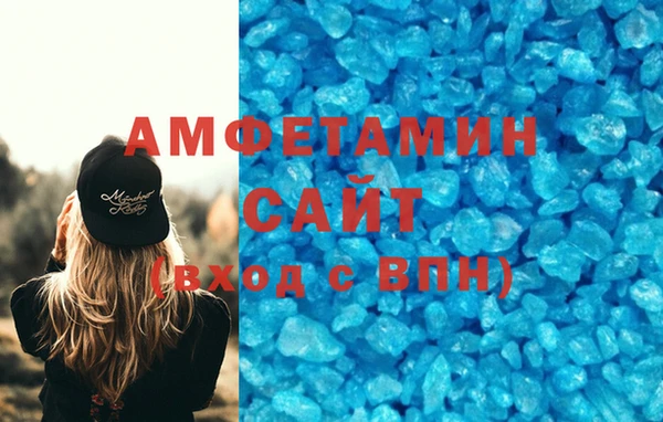 шишки Белокуриха
