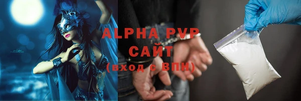 индика Беломорск
