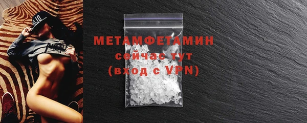 шишки Белокуриха