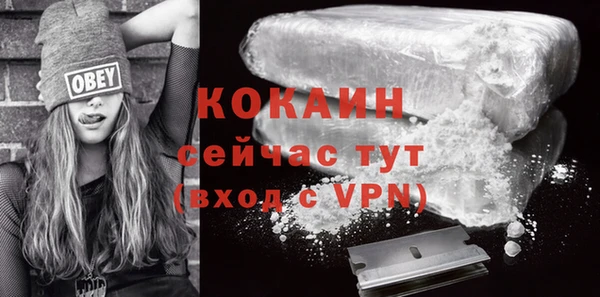 индика Беломорск