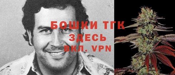 индика Беломорск