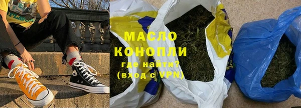 индика Беломорск