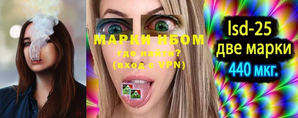 шишки Белокуриха