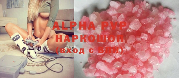 шишки Белокуриха