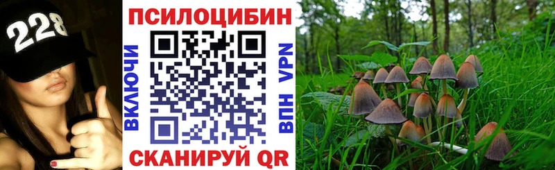 Галлюциногенные грибы мицелий Чегем