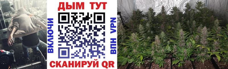 Бошки Шишки THC 21%  Чегем 